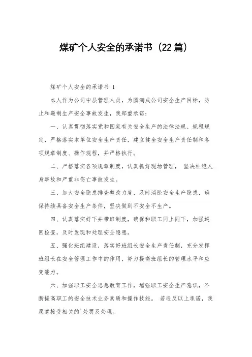 煤矿个人安全的承诺书(22篇)