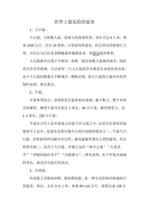 世界上最危险的鲨鱼