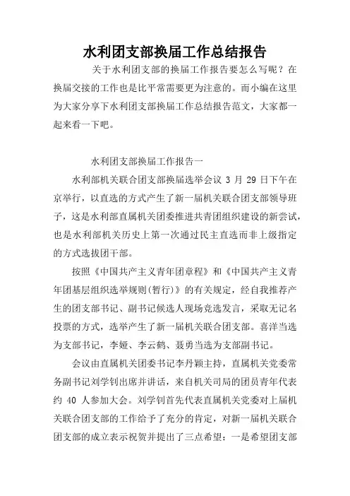 水利团支部换届工作总结报告