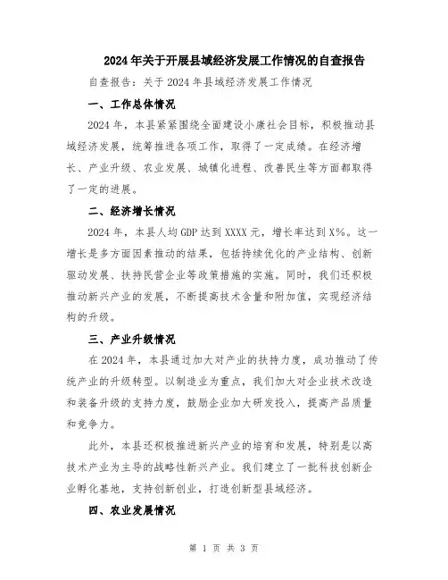 2024年关于开展县域经济发展工作情况的自查报告