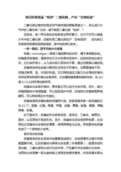 每日科普微藻“吃掉”二氧化碳，产出“生物柴油”
