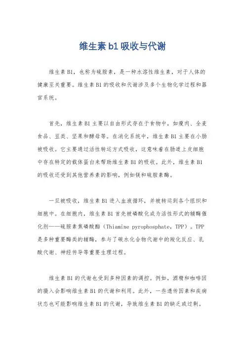 维生素b1吸收与代谢