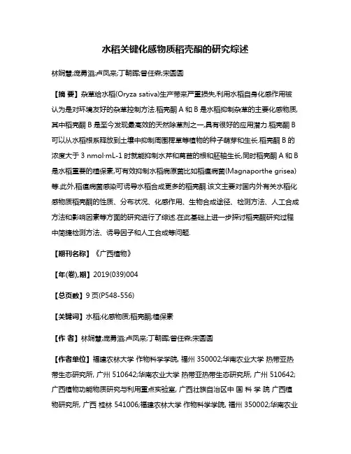 水稻关键化感物质稻壳酮的研究综述