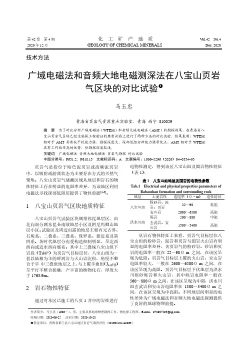 广域电磁法和音频大地电磁测深法在八宝山页岩气区块的对比试验