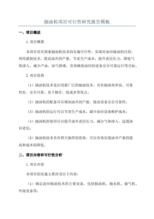抽油机项目可行性研究报告模板