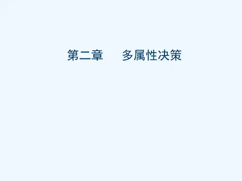 第二章多属性决策