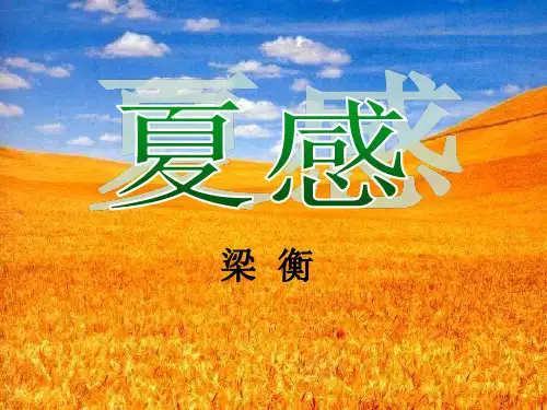 《夏感》PPT课件3 (共27张PPT)
