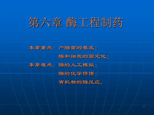 酶工程制药ppt课件