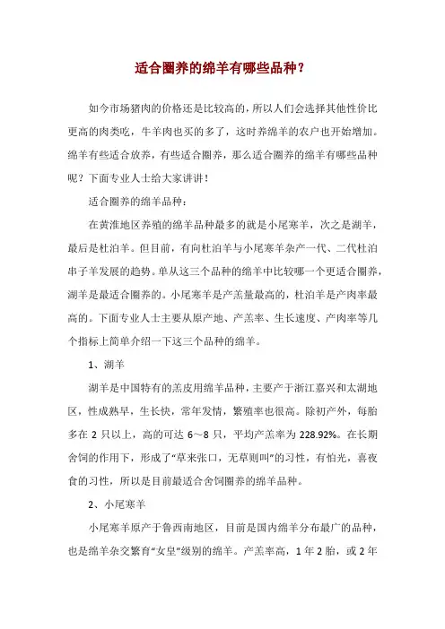 适合圈养的绵羊有哪些品种？