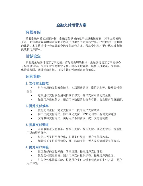 金融支付运营方案