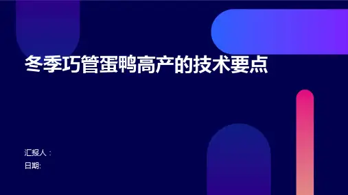 冬季巧管蛋鸭高产的技术要点