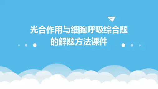光合作用与细胞呼吸综合题的解题方法课件