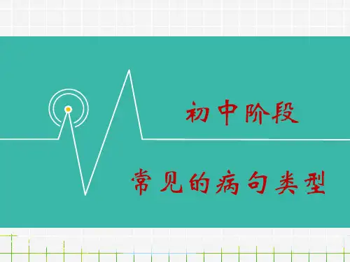 初中语文常见的病句类型-课件