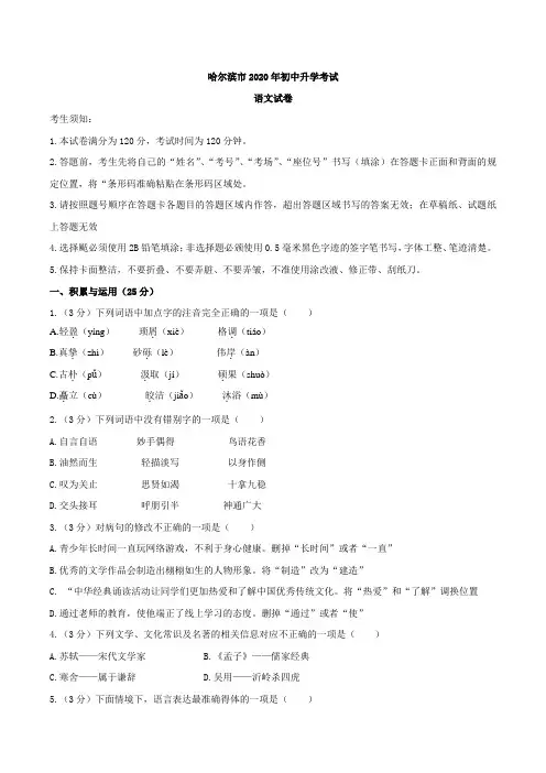 黑龙江省哈尔滨市2020年中考语文试 题