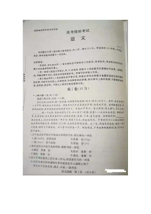 山东省济南市高三第一次模拟考试语文试卷 扫描含答案