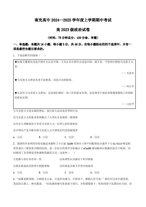 四川省南充高级中学2024-2025学年高二上学期11月期中考试政治试题