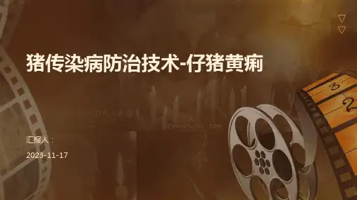 猪传染病防治技术-仔猪黄痢