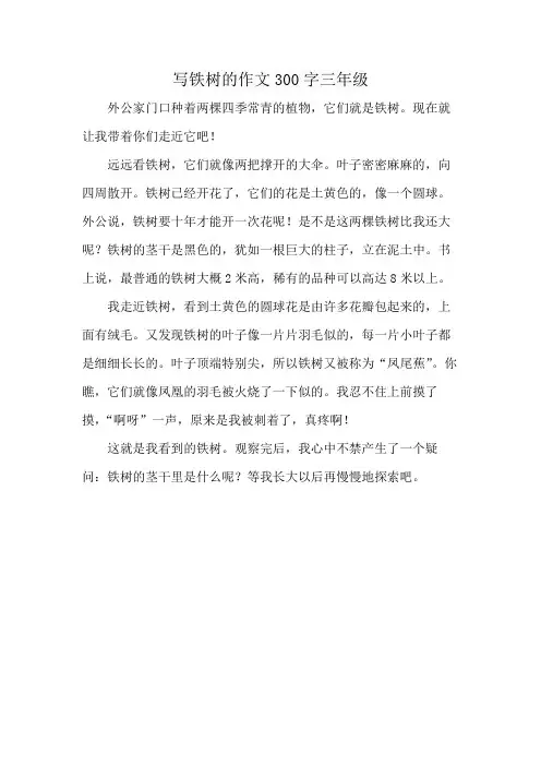 写铁树的作文300字三年级