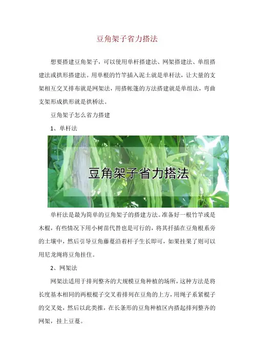 豆角架子省力搭法