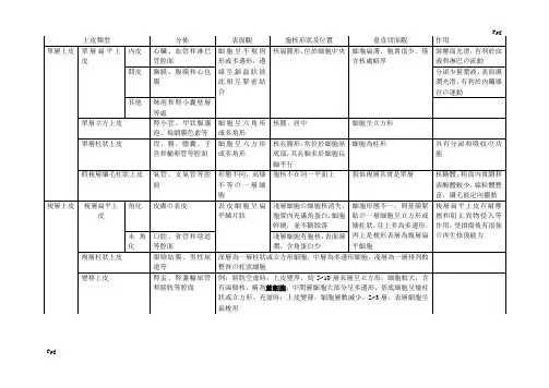 各种上皮组织比较(单层上皮与复层上皮比较)