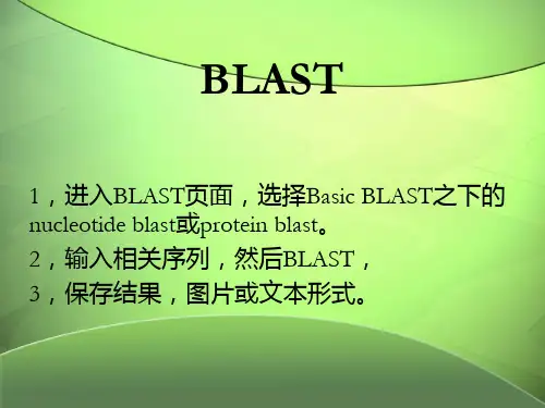 BLAST