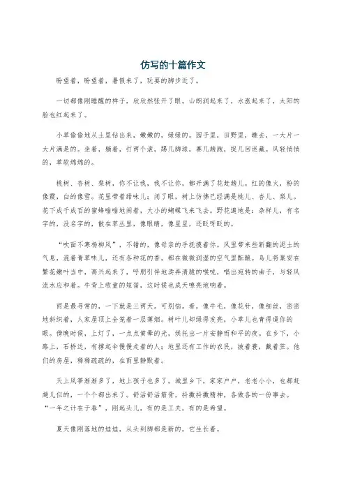 仿写的十篇作文