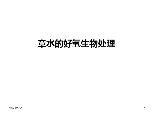 好氧生物处理