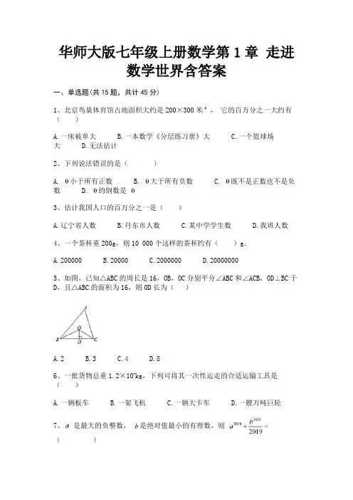 (典型题)华师大版七年级上册数学第1章 走进数学世界含答案