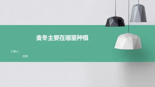 麦冬主要在哪里种植