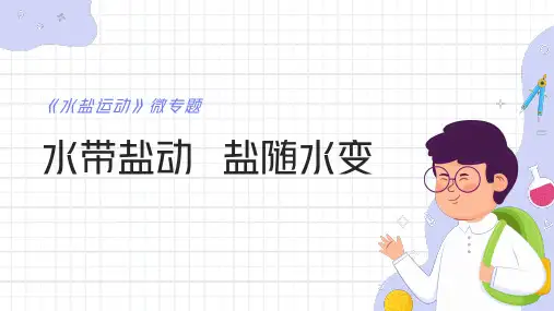 2025届高考地理一轮复习：水盐运动+课件