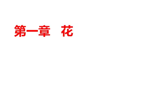 花,种子,果实的类型