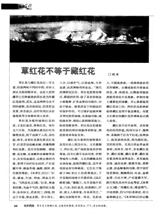 草红花不等于藏红花