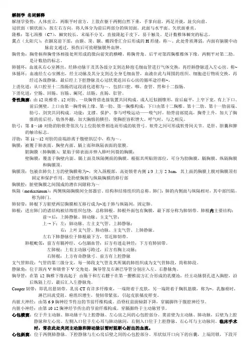 解剖学 名词解释