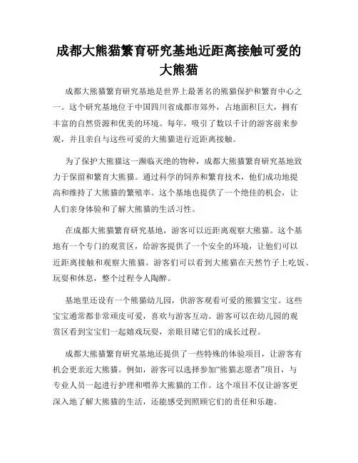 成都大熊猫繁育研究基地近距离接触可爱的大熊猫