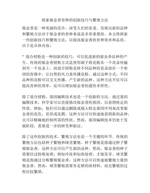 探索郁金香育种的创新技巧与繁殖方法