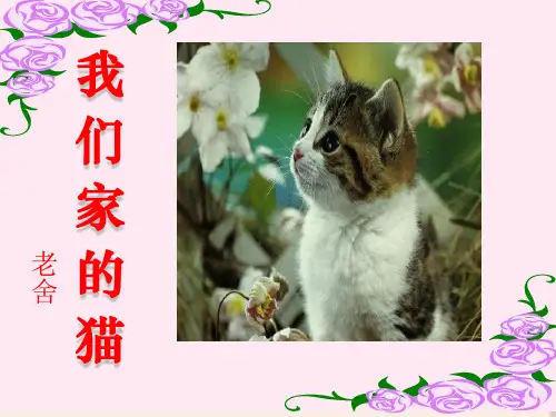春冀教版语文四下《我们家的猫》ppt课件