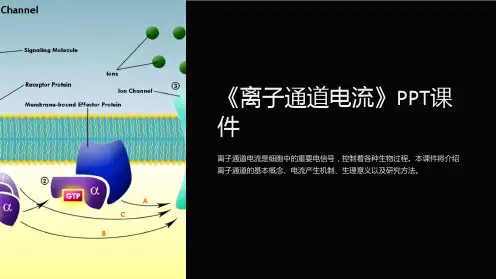 《离子通道电流》课件
