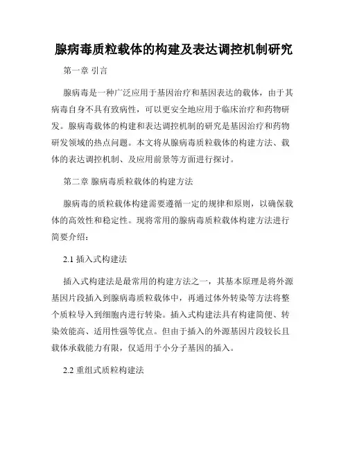 腺病毒质粒载体的构建及表达调控机制研究