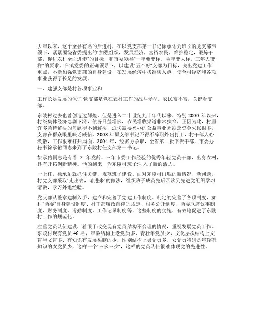 XX镇XX村党支部先进事迹