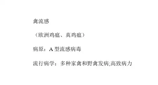 禽流感与新城疫鉴别诊断
