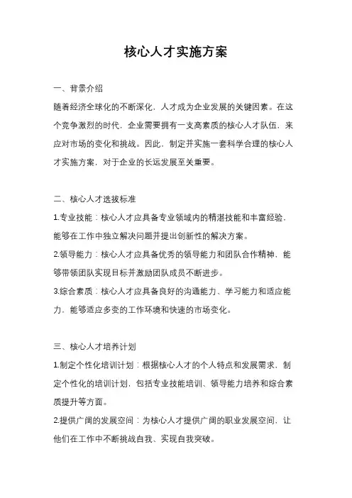 核心人才实施方案