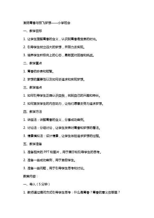 激扬青春与放飞梦想 教案 小学班会