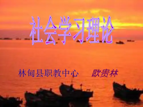社会学习理论