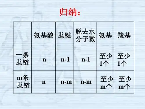 蛋白质计算典型题例