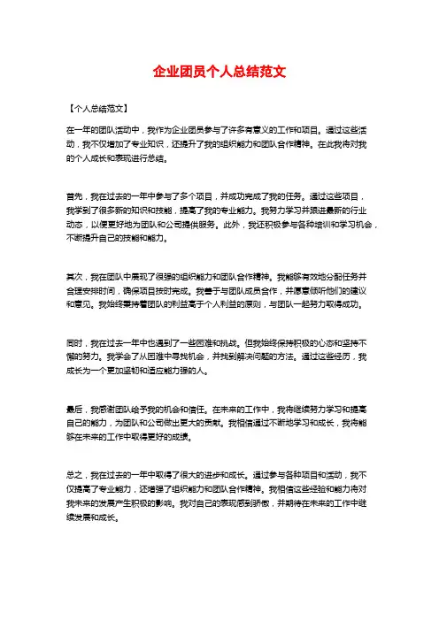 企业团员个人总结范文