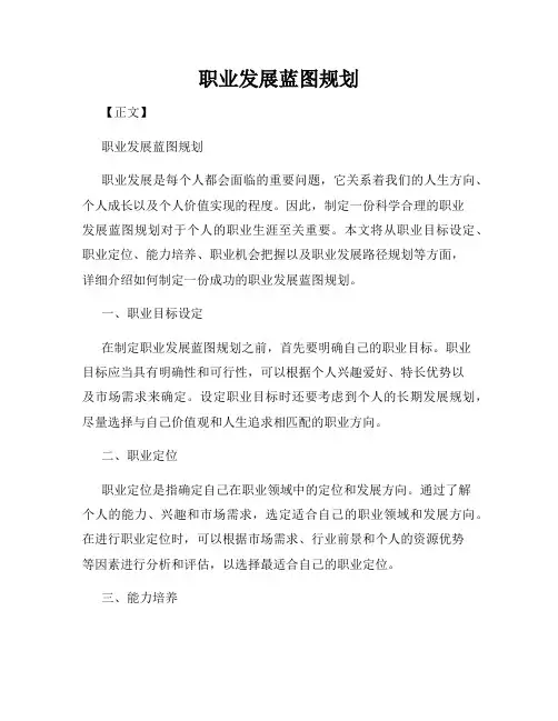 职业发展蓝图规划