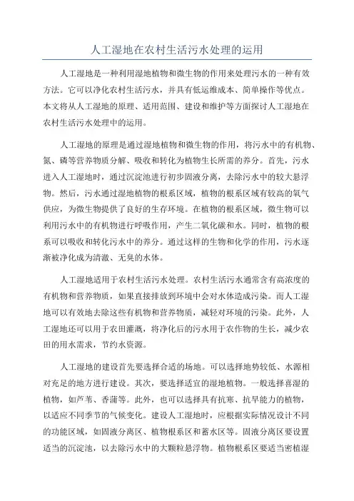 人工湿地在农村生活污水处理的运用