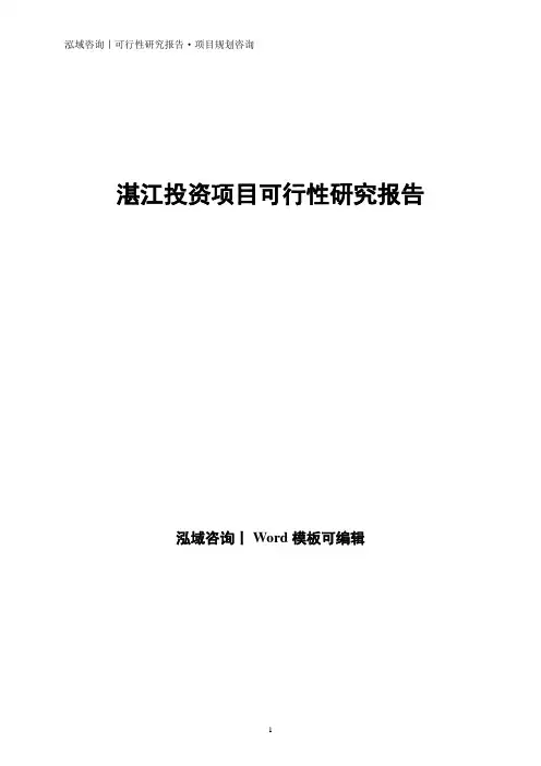 湛江投资项目可行性研究报告