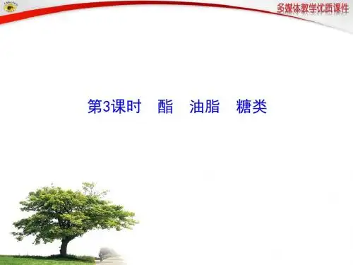 苏教版高中化学必修二课件第3课时酯油脂糖类