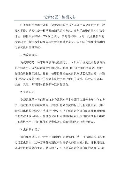 泛素化蛋白检测方法